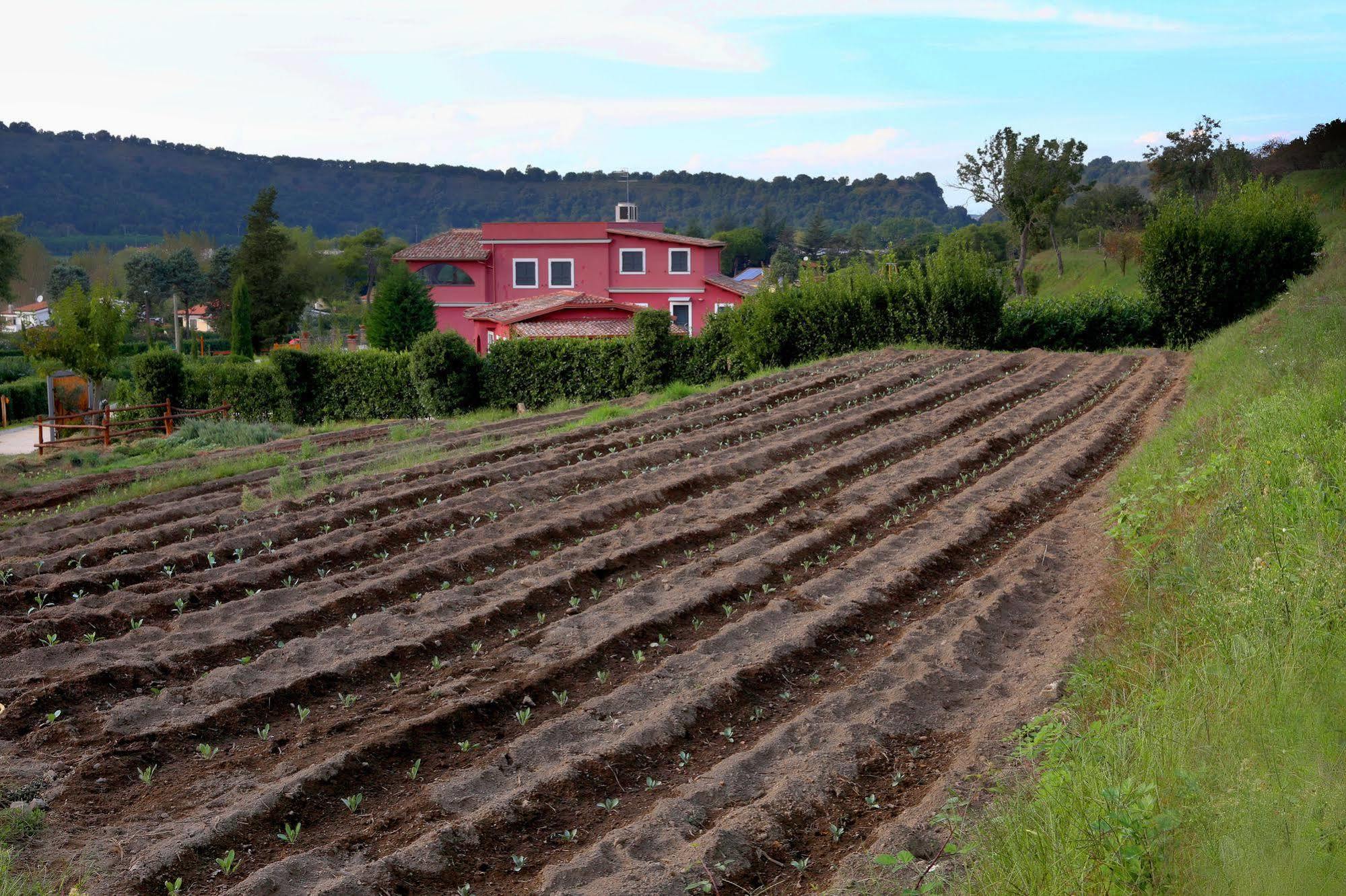 Agriturismo San Martino Pozzuoli Ngoại thất bức ảnh