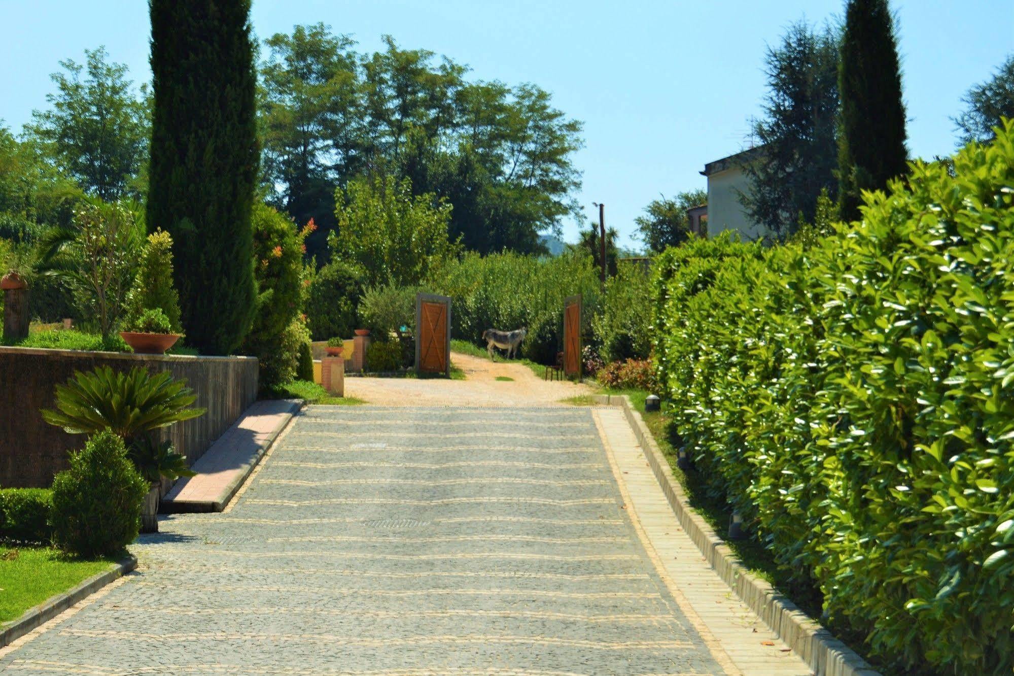Agriturismo San Martino Pozzuoli Ngoại thất bức ảnh